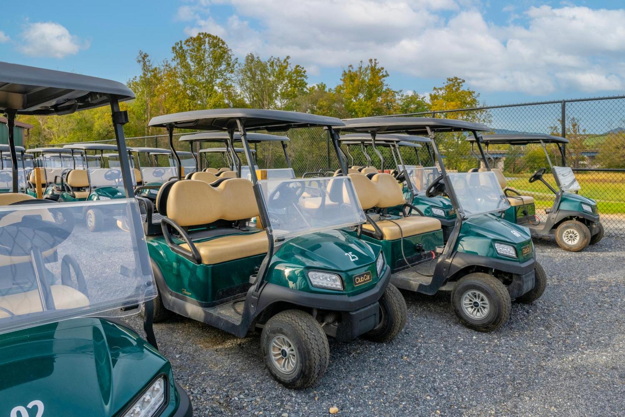 Luray Rv Resort On Shenandoah River Екстериор снимка
